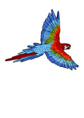 Bird Parrots Flying With