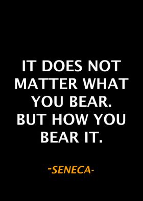 Seneca Qoute