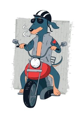 Sausage Dog on Motorcycle