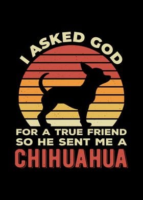 Chihuahua Funny