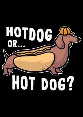 Hotdog or Hot Dog  Funny