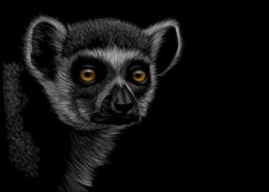 Lemur Sketching