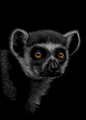 Lemur Sketching