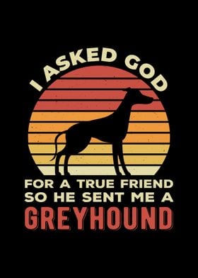 Funny Greyhound