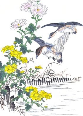 Ducks And Chrysanthemums