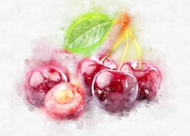 Cherry watercolor