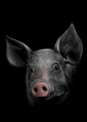 Pig Sketching