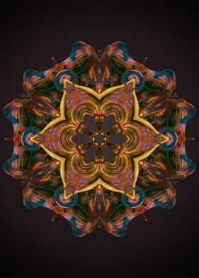 Mandala 2