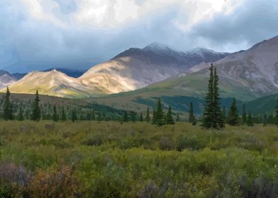 Denali National Park