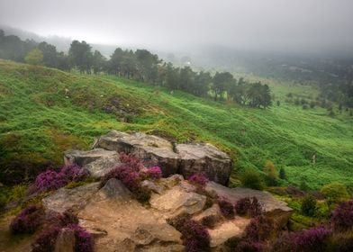 Foggy Landscape