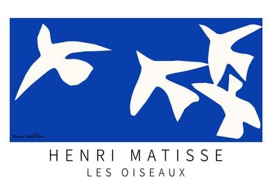 Les Oiseaux Henri Matisse