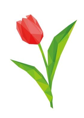 Red tulip flower 3d