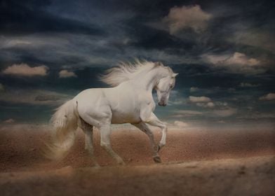 RUNNING WHITE HORSE
