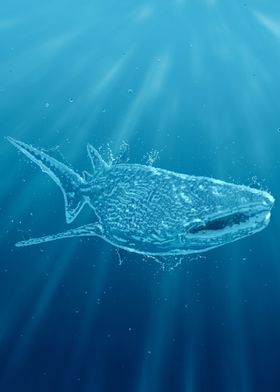 Whale shark