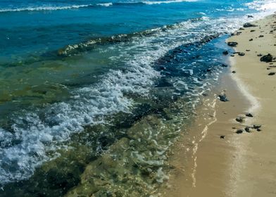 Sandy Shoreline