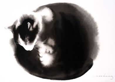 Kitty Ball of Fur2