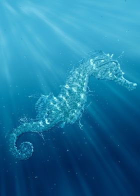 Seahorse