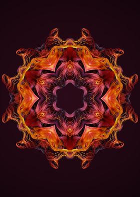 Mandala 13