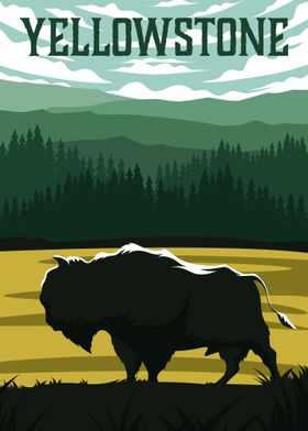 Bison national park