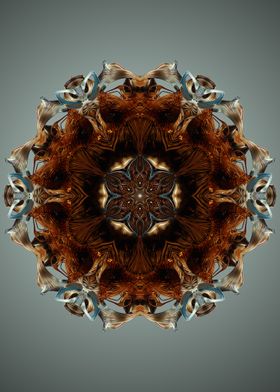 Mandala 16