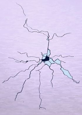 Pastel Neuron