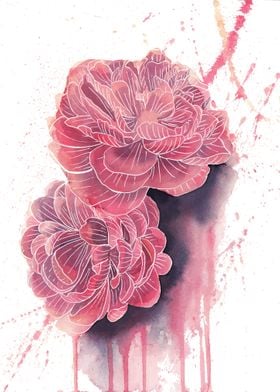 Abstract Peony Art 