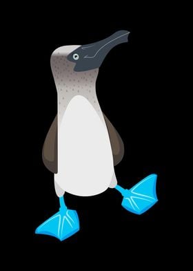 Blue Footed Booby Bird