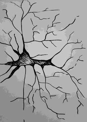 Neuron in Greyscale