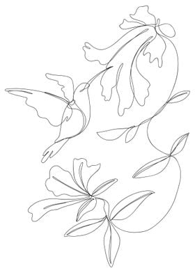 LineArt Animal Hummingbird