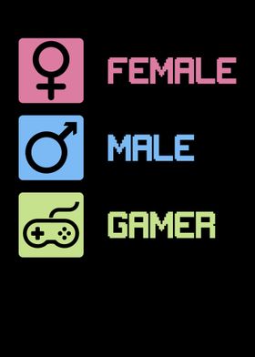 Female Male Gamer Equality