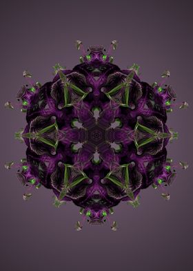 Mandala 17