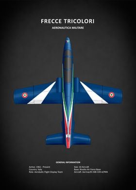 Frecce Tricolori Aerobatic