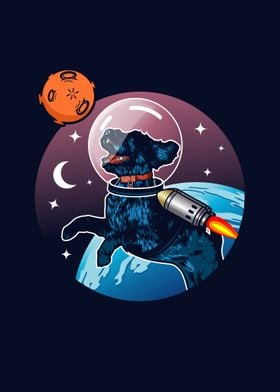 dog space
