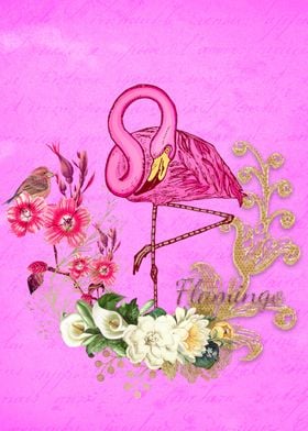 Wonderful flamingo