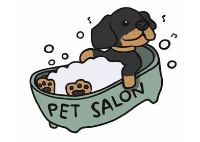 Dachshund dog shower salon