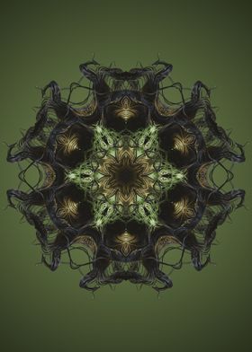 Mandala 29