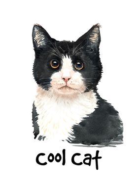 Cool cat