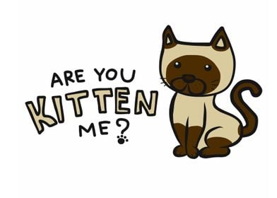 Are you kitten me cat