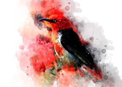 Watercolor bird