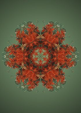 Mandala 36