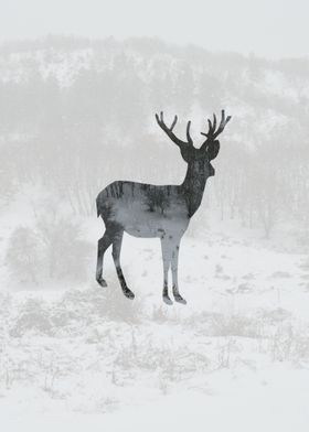 Snowing Deer