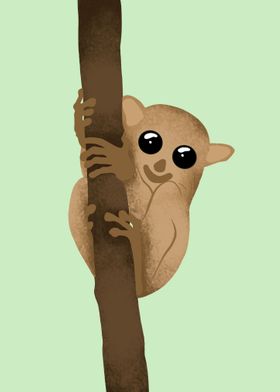 Tarsier