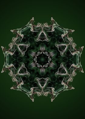 Mandala 47