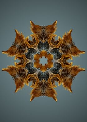 Mandala 45