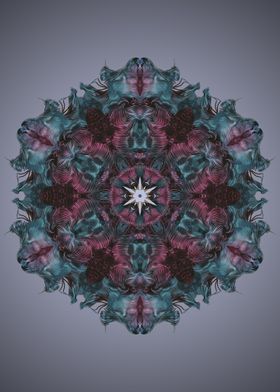 Mandala 48