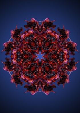 Mandala 41