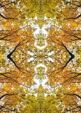 Autumn tree top abstract