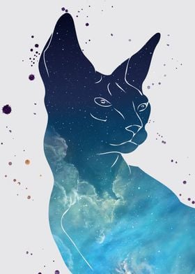 Sphynx cat nebula