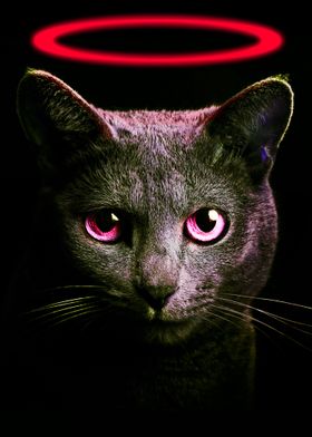 Black Cat Red Neon