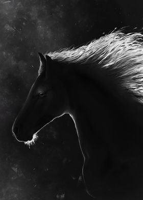 Black Horse